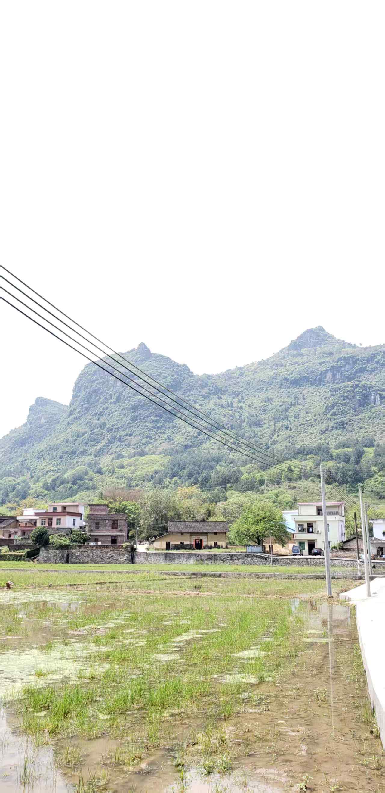 阳爱村长江自然村群山、稻田与父亲的老宅